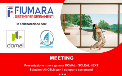 Meeting Fiumara srl - ANCELM